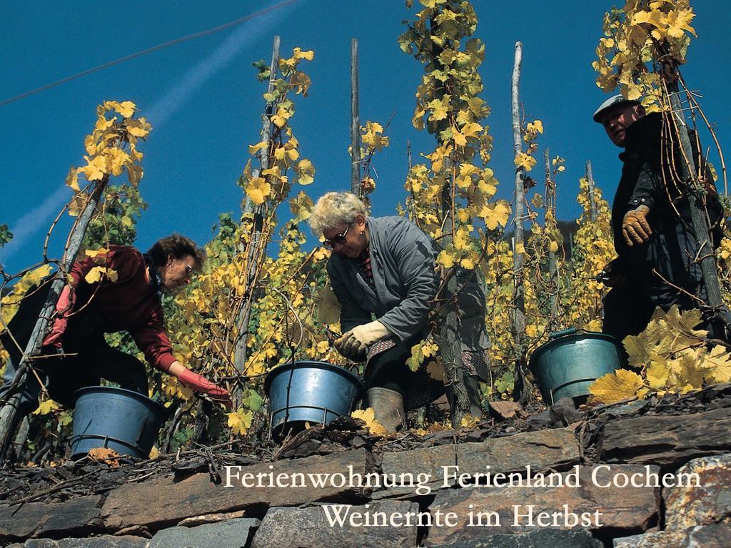 Ferienwohnungen Ferienland Cochem Bruttig-Fankel Exterior foto